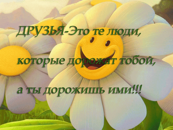 друзья